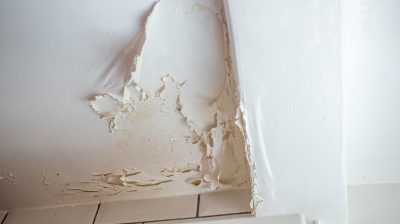 Common roof care myths